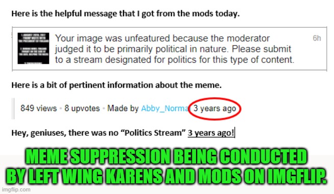 Sad but true! | MEME SUPPRESSION BEING CONDUCTED BY LEFT WING KARENS AND MODS ON IMGFLIP. | image tagged in imgflip mods,mods | made w/ Imgflip meme maker