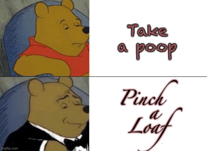 Tuxedo Winnie The Pooh | Take a poop; Pinch  
   a 
Loaf | image tagged in memes,tuxedo winnie the pooh | made w/ Imgflip meme maker