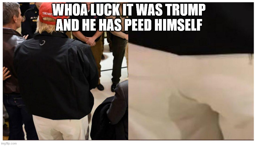 WHOA LUCK IT WAS TRUMP
AND HE HAS PEED HIMSELF | made w/ Imgflip meme maker