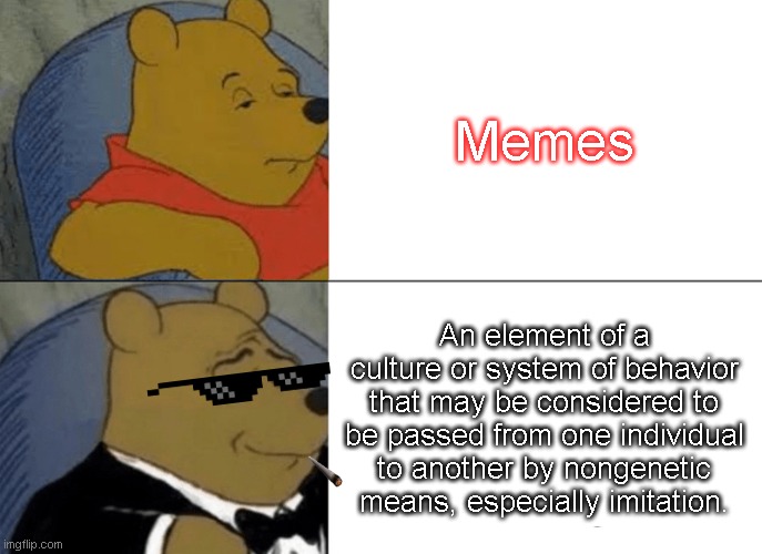 Tuxedo Winnie The Pooh | Memes; An element of a culture or system of behavior that may be considered to be passed from one individual to another by nongenetic means, especially imitation. | image tagged in big brain,tuxedo winnie the pooh,memes,impressive | made w/ Imgflip meme maker