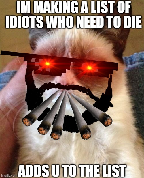 Grumpy Cat | IM MAKING A LIST OF IDIOTS WHO NEED TO DIE; ADDS U TO THE LIST | image tagged in memes,grumpy cat | made w/ Imgflip meme maker