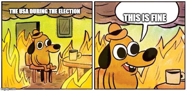 This is Fine (Blank) | THIS IS FINE; THE USA DURING THE ELECTION | image tagged in this is fine blank | made w/ Imgflip meme maker