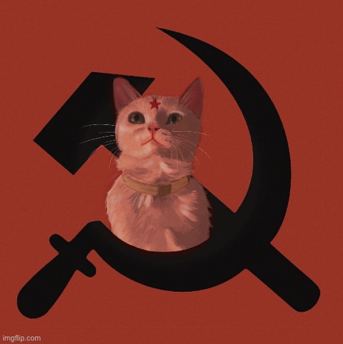 Soviet Cat | image tagged in soviet cat | made w/ Imgflip meme maker