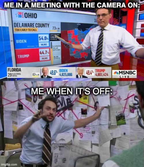 ME IN A MEETING WITH THE CAMERA ON:; ME WHEN IT'S OFF: | image tagged in charlie kornacki | made w/ Imgflip meme maker