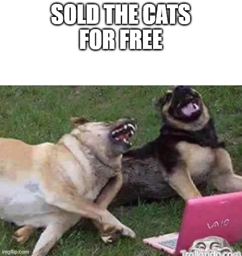 Dogs Laughing | SOLD THE CATS
FOR FREE | image tagged in dogs laughing | made w/ Imgflip meme maker