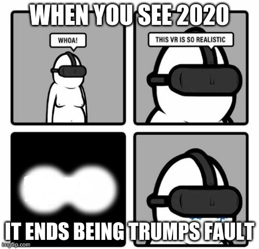 2020 VR | WHEN YOU SEE 2020; IT ENDS BEING TRUMPS FAULT | image tagged in whoa this vr is so realistic | made w/ Imgflip meme maker