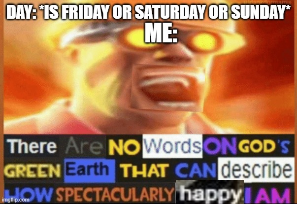 look at his face! IT'S cUrSeD aaaaand yeah i love fridays, saturdays and sundays | DAY: *IS FRIDAY OR SATURDAY OR SUNDAY*; ME: | image tagged in there are no words on god's green earth | made w/ Imgflip meme maker