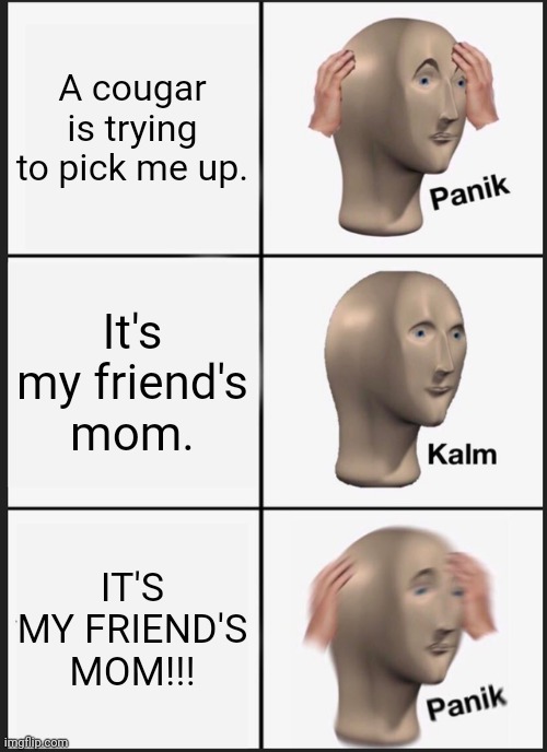Moms gone wild | A cougar is trying to pick me up. It's my friend's mom. IT'S MY FRIEND'S MOM!!! | image tagged in memes,panik kalm panik | made w/ Imgflip meme maker