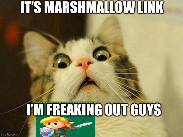 Marshmallow link | IT’S MARSHMALLOW LINK; I’M FREAKING OUT GUYS | image tagged in memes,scared cat | made w/ Imgflip meme maker