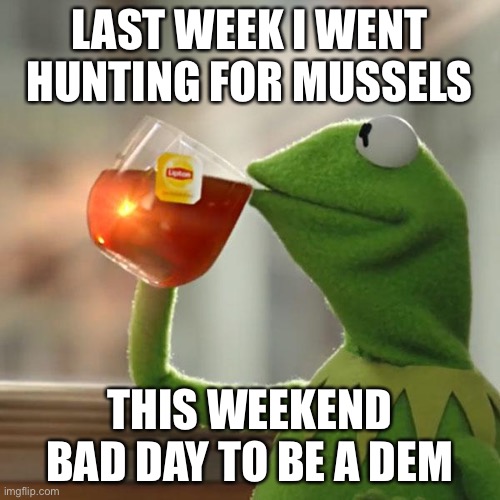 [purgeboy recounts his fishing adventure, and his upcoming plans to play a practical joke on a Democrat friend] | LAST WEEK I WENT HUNTING FOR MUSSELS; THIS WEEKEND BAD DAY TO BE A DEM | image tagged in memes,but that's none of my business,kermit the frog,the purge,purge,gone fishing | made w/ Imgflip meme maker