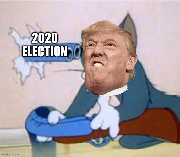 Sums up the election | 2020 ELECTION | image tagged in tom the cat shooting himself | made w/ Imgflip meme maker