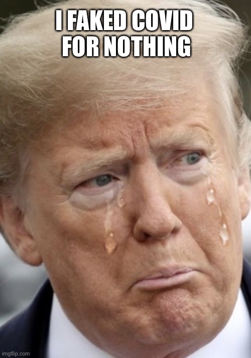 Crying Trump | I FAKED COVID 
FOR NOTHING | image tagged in crying trump | made w/ Imgflip meme maker
