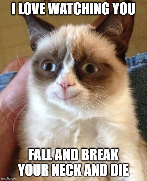 Grumpy Cat Happy Meme | I LOVE WATCHING YOU FALL AND BREAK YOUR NECK AND DIE | image tagged in memes,grumpy cat happy,grumpy cat | made w/ Imgflip meme maker