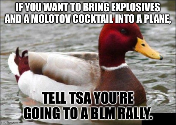 BLM on a plane | IF YOU WANT TO BRING EXPLOSIVES AND A MOLOTOV COCKTAIL INTO A PLANE, TELL TSA YOU’RE GOING TO A BLM RALLY. | image tagged in memes,malicious advice mallard,black lives matter,riot,airplane,explosion | made w/ Imgflip meme maker