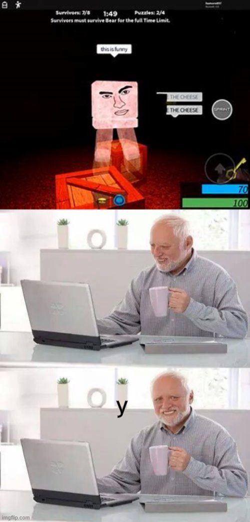 y | image tagged in memes,hide the pain harold,zob,bear alpha | made w/ Imgflip meme maker