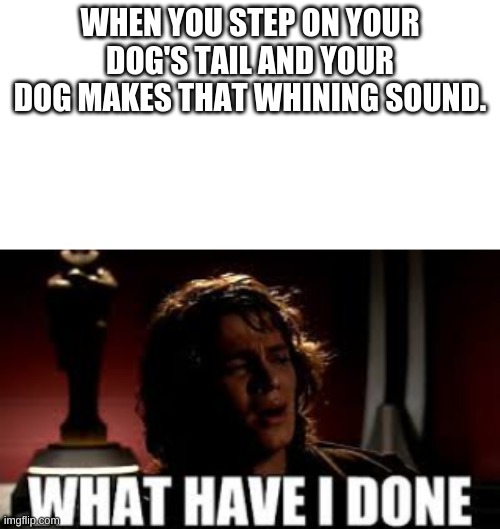WHEN YOU STEP ON YOUR DOG'S TAIL AND YOUR DOG MAKES THAT WHINING SOUND. | image tagged in anikin,star wars,what have i done,dog,funny | made w/ Imgflip meme maker