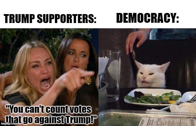Only good votes! | TRUMP SUPPORTERS:; DEMOCRACY:; "You can't count votes that go against Trump!" | image tagged in memes,woman yelling at cat,donald trump,2020 elections,joe biden | made w/ Imgflip meme maker