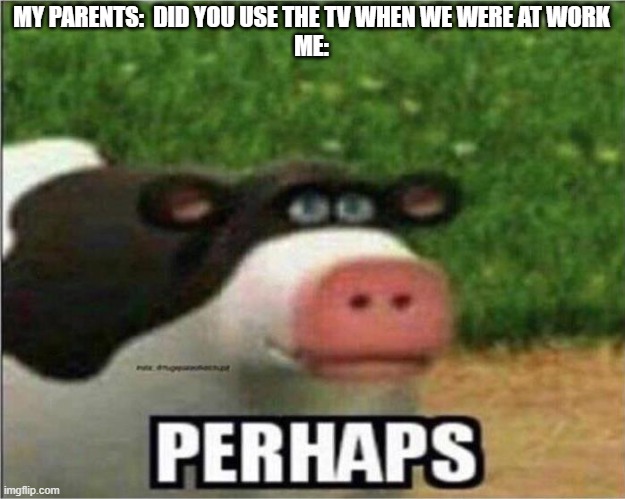 Perhaps (no) | MY PARENTS:  DID YOU USE THE TV WHEN WE WERE AT WORK
ME: | image tagged in perhaps cow | made w/ Imgflip meme maker