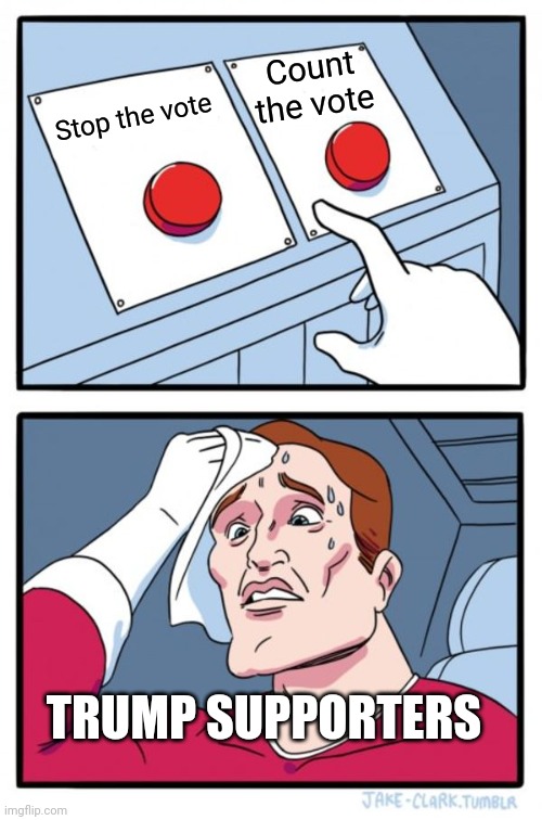 Two Buttons Meme | Count the vote; Stop the vote; TRUMP SUPPORTERS | image tagged in memes,two buttons,election 2020 | made w/ Imgflip meme maker