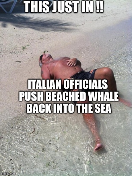 THIS JUST IN !! ITALIAN OFFICIALS PUSH BEACHED WHALE BACK INTO THE SEA | made w/ Imgflip meme maker