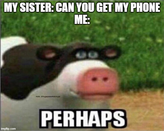 Perhaps | MY SISTER: CAN YOU GET MY PHONE
ME: | image tagged in perhaps cow | made w/ Imgflip meme maker