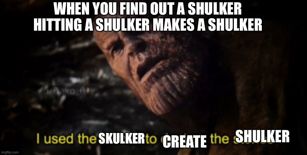 I used the stones to destroy the stones | WHEN YOU FIND OUT A SHULKER HITTING A SHULKER MAKES A SHULKER; SKULKER; SHULKER; CREATE | image tagged in i used the stones to destroy the stones | made w/ Imgflip meme maker