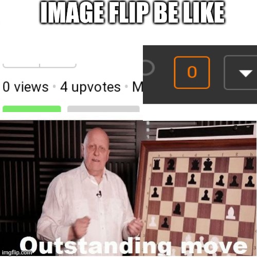 So smart | IMAGE FLIP BE LIKE | image tagged in outstanding move | made w/ Imgflip meme maker