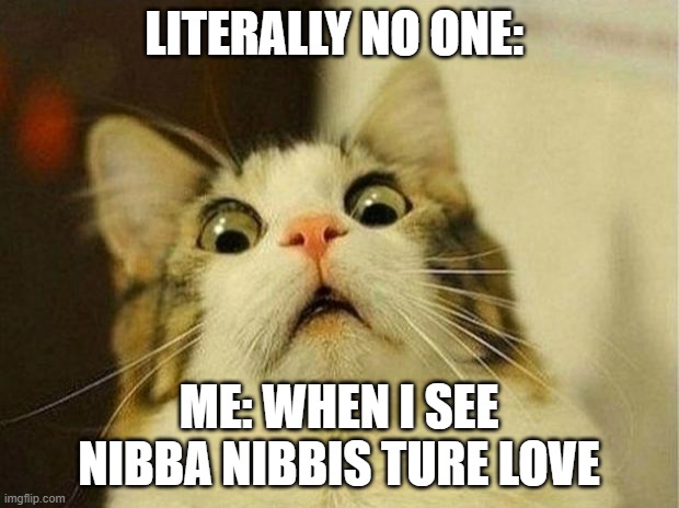 Scared Cat | LITERALLY NO ONE:; ME: WHEN I SEE NIBBA NIBBIS TURE LOVE | image tagged in memes,scared cat | made w/ Imgflip meme maker