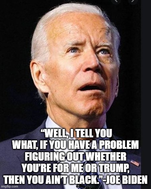 Joe Biden racist quote | “WELL, I TELL YOU WHAT, IF YOU HAVE A PROBLEM FIGURING OUT WHETHER YOU’RE FOR ME OR TRUMP, THEN YOU AIN’T BLACK.”-JOE BIDEN | image tagged in confused biden,democrats,liberals,racist | made w/ Imgflip meme maker