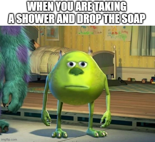 Soap is slippery | WHEN YOU ARE TAKING A SHOWER AND DROP THE SOAP | image tagged in mike wazowski-sulley face swap,meme,soap,shower | made w/ Imgflip meme maker