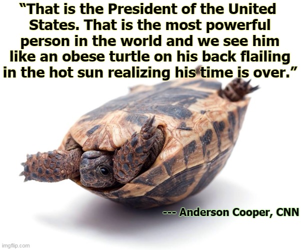 If Trump can't get America to do what he wants, he will tear down America. | “That is the President of the United 
States. That is the most powerful person in the world and we see him like an obese turtle on his back flailing in the hot sun realizing his time is over.”; --- Anderson Cooper, CNN | image tagged in trump,loser | made w/ Imgflip meme maker