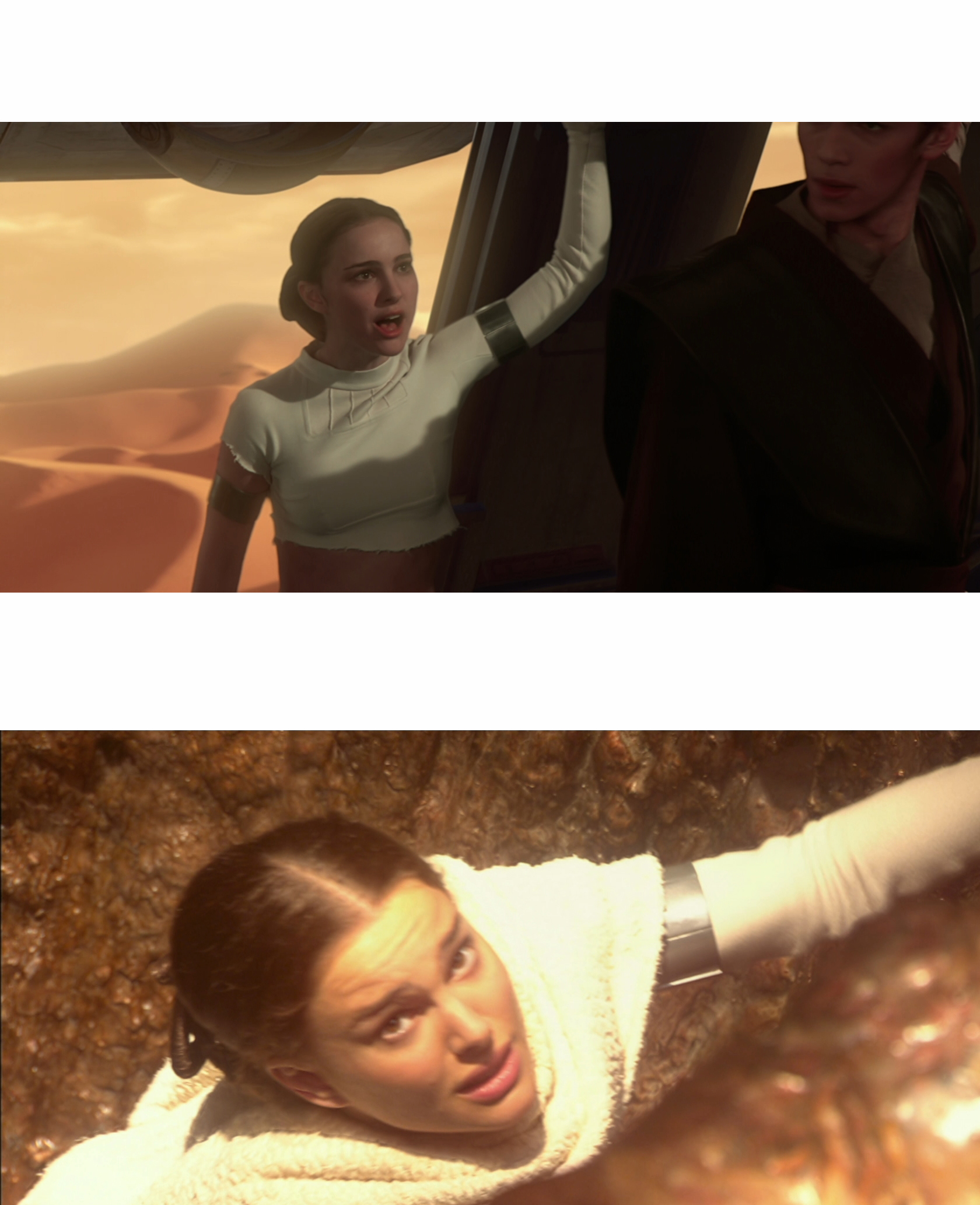 High Quality Padme Dipped Blank Meme Template