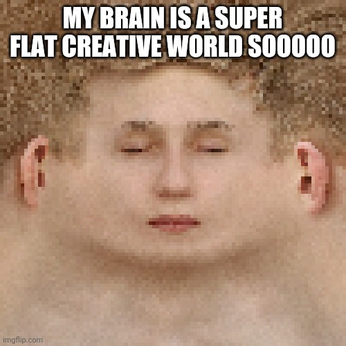 MY BRAIN IS A SUPER FLAT CREATIVE WORLD SOOOOO | made w/ Imgflip meme maker