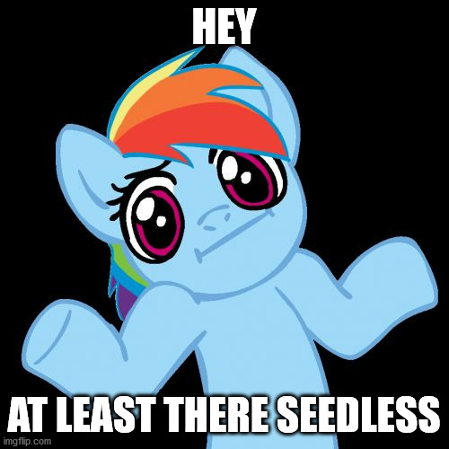 Pony Shrugs Meme | HEY AT LEAST THERE SEEDLESS | image tagged in memes,pony shrugs | made w/ Imgflip meme maker