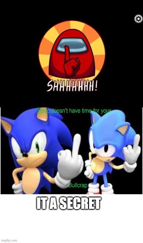 IT A SECRET | image tagged in among us shhhhhh,sonic doesn't have time for your bullcrap 2 | made w/ Imgflip meme maker
