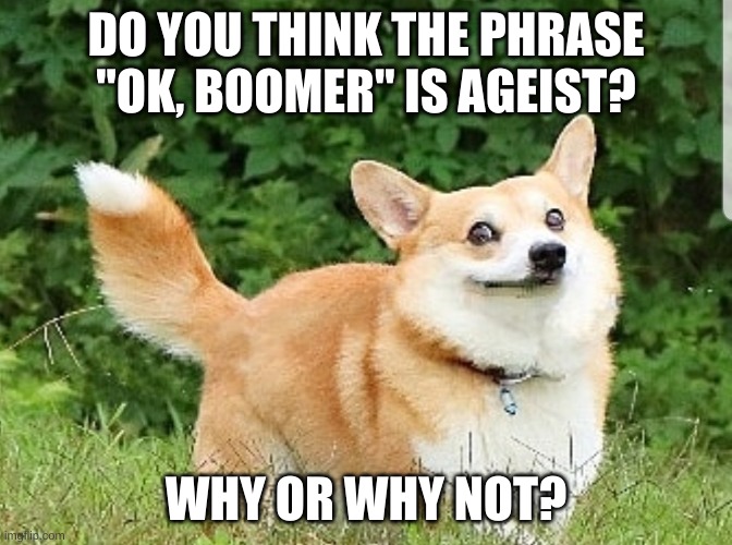 i don't think so, it's just a joke after all. | DO YOU THINK THE PHRASE "OK, BOOMER" IS AGEIST? WHY OR WHY NOT? | image tagged in ok boomer corgi | made w/ Imgflip meme maker