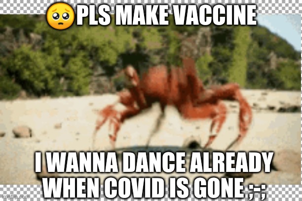 Coronavirus | 🥺PLS MAKE VACCINE; I WANNA DANCE ALREADY WHEN COVID IS GONE ;-; | image tagged in please,pls,coronavirus | made w/ Imgflip meme maker