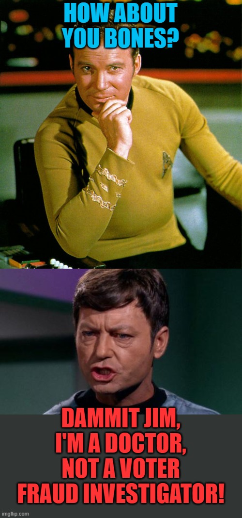 HOW ABOUT YOU BONES? DAMMIT JIM, I'M A DOCTOR, NOT A VOTER FRAUD INVESTIGATOR! | image tagged in captain kirk,dammit jim | made w/ Imgflip meme maker