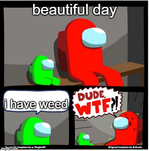 Among us Dude WTF | beautiful day; i have weed | image tagged in among us dude wtf | made w/ Imgflip meme maker