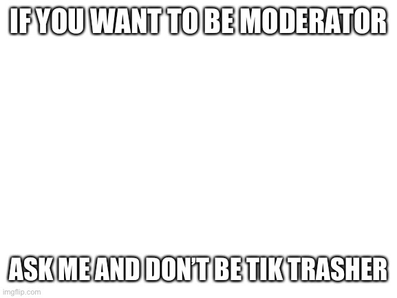 Blank White Template | IF YOU WANT TO BE MODERATOR; ASK ME AND DON’T BE TIK TRASHER | image tagged in blank white template | made w/ Imgflip meme maker