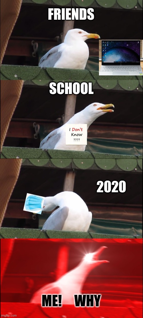 Eeeee | FRIENDS; SCHOOL; 2020; ME!     WHY | image tagged in memes,inhaling seagull | made w/ Imgflip meme maker