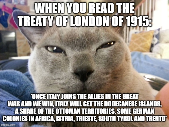 England is probably one of the world's most hypocritical nations | WHEN YOU READ THE TREATY OF LONDON OF 1915:; 'ONCE ITALY JOINS THE ALLIES IN THE GREAT WAR AND WE WIN, ITALY WILL GET THE DODECANESE ISLANDS, A SHARE OF THE OTTOMAN TERRITORIES, SOME GERMAN COLONIES IN AFRICA, ISTRIA, TRIESTE, SOUTH TYROL AND TRENTO' | image tagged in skeptical cat,memes,ww1,cats,history,hypocrisy | made w/ Imgflip meme maker