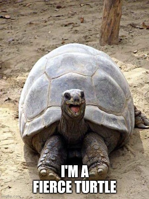 Smiling happy excited tortoise | I'M A FIERCE TURTLE | image tagged in smiling happy excited tortoise | made w/ Imgflip meme maker