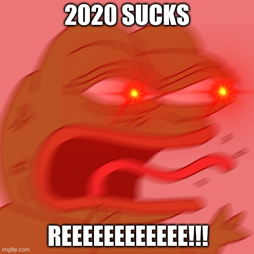 2020 | 2020 SUCKS; REEEEEEEEEEEE!!! | image tagged in memes | made w/ Imgflip meme maker