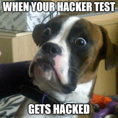 Awkward Dog | WHEN YOUR HACKER TEST; GETS HACKED | image tagged in awkward dog | made w/ Imgflip meme maker