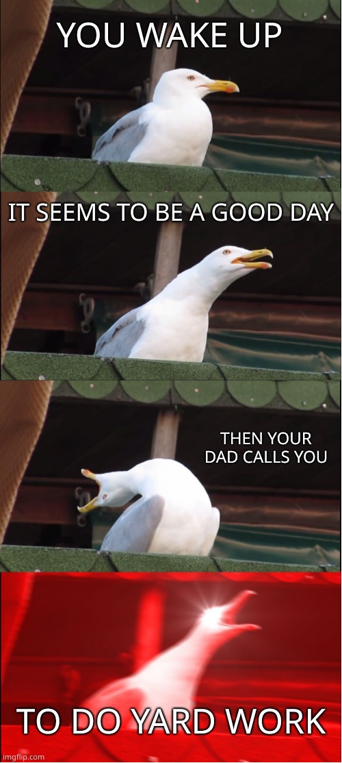Saturday in a nutshell | YOU WAKE UP; IT SEEMS TO BE A GOOD DAY; THEN YOUR DAD CALLS YOU; TO DO YARD WORK | image tagged in memes,inhaling seagull | made w/ Imgflip meme maker
