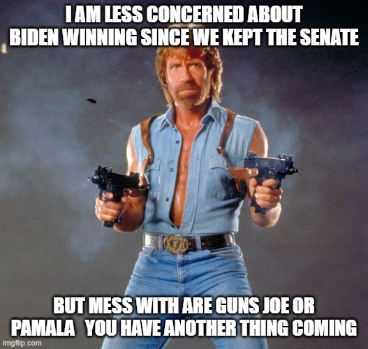 Chuck Norris Guns | I AM LESS CONCERNED ABOUT BIDEN WINNING SINCE WE KEPT THE SENATE; BUT MESS WITH ARE GUNS JOE OR PAMALA   YOU HAVE ANOTHER THING COMING | image tagged in memes,chuck norris guns,chuck norris | made w/ Imgflip meme maker