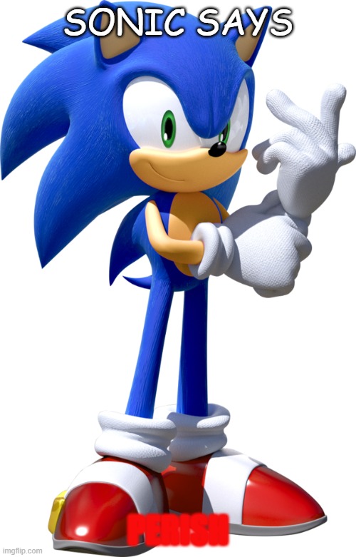 PERISH | SONIC SAYS; PERISH | image tagged in sonic the hedgehog | made w/ Imgflip meme maker