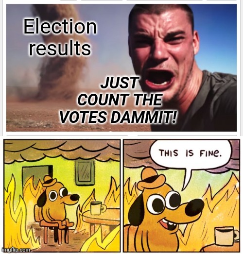 Election Results | Election results; JUST COUNT THE VOTES DAMMIT! | image tagged in memes,this is fine | made w/ Imgflip meme maker