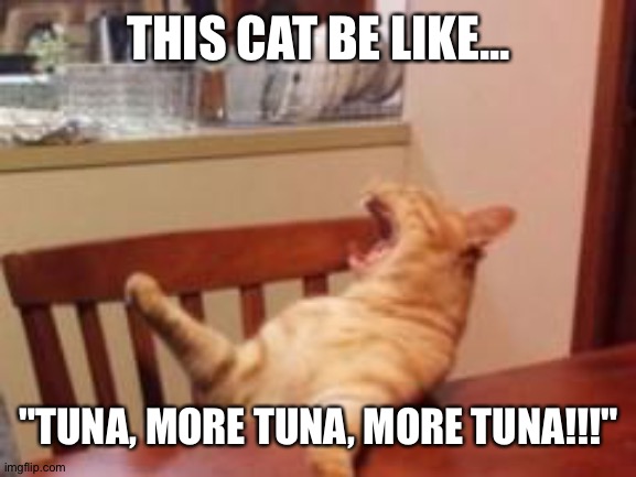 Cats be like... | THIS CAT BE LIKE... "TUNA, MORE TUNA, MORE TUNA!!!" | image tagged in screaming cat | made w/ Imgflip meme maker